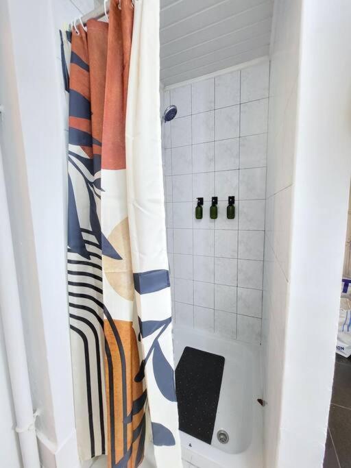 Style Haussmannien 1 Bedroom Appartement